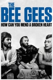 Assistir The Bee Gees: How Can You Mend a Broken Heart online