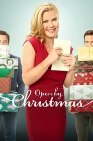 Assistir Open by Christmas online