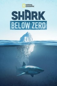 Assistir Shark Below Zero online